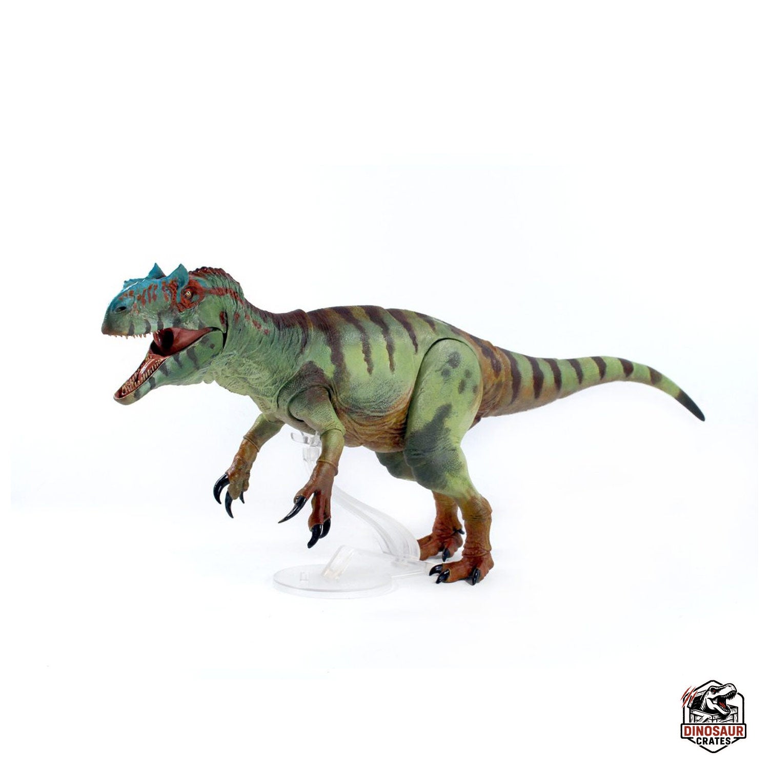 Allosaurus fragilis – Beasts of the Mesozoic – Dinosaur Crates