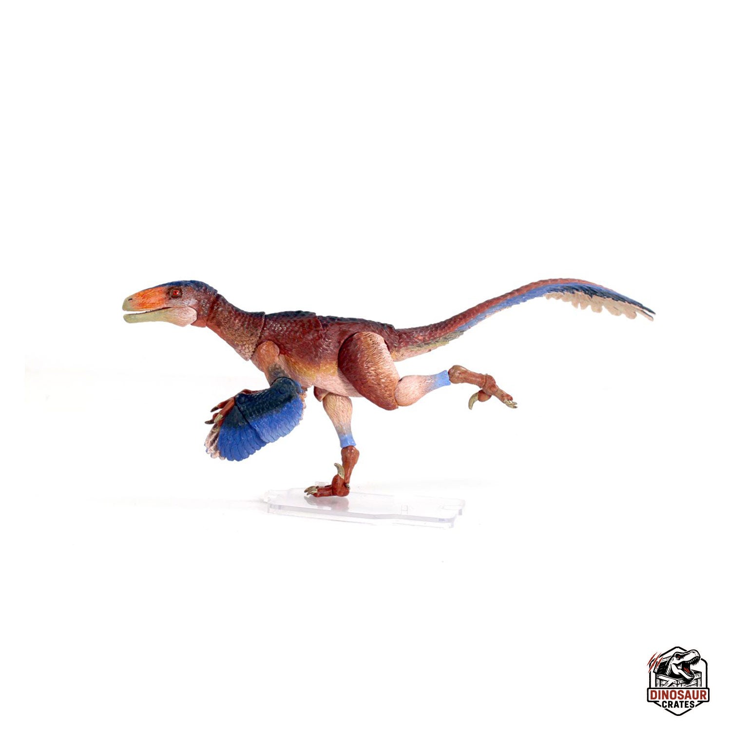 ディノス ソフビ DINOS Deinonychus antirrhopus – Cyberzoic – Dinosaur Crates