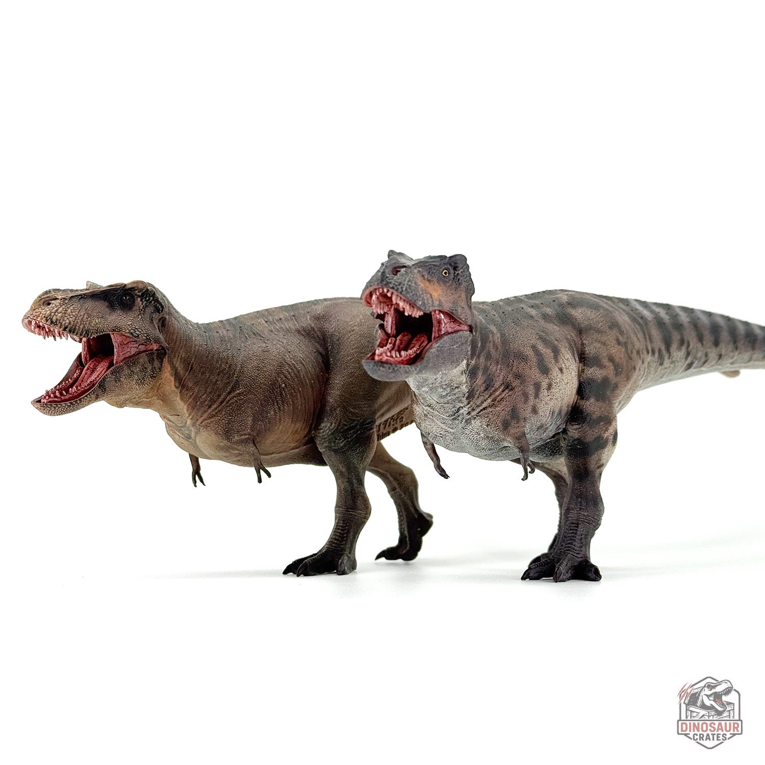 dino13様　9点 Haolonggood Tyrannosaurus Rex 3.0 Dinosaur Figure – Dinosaur Crates