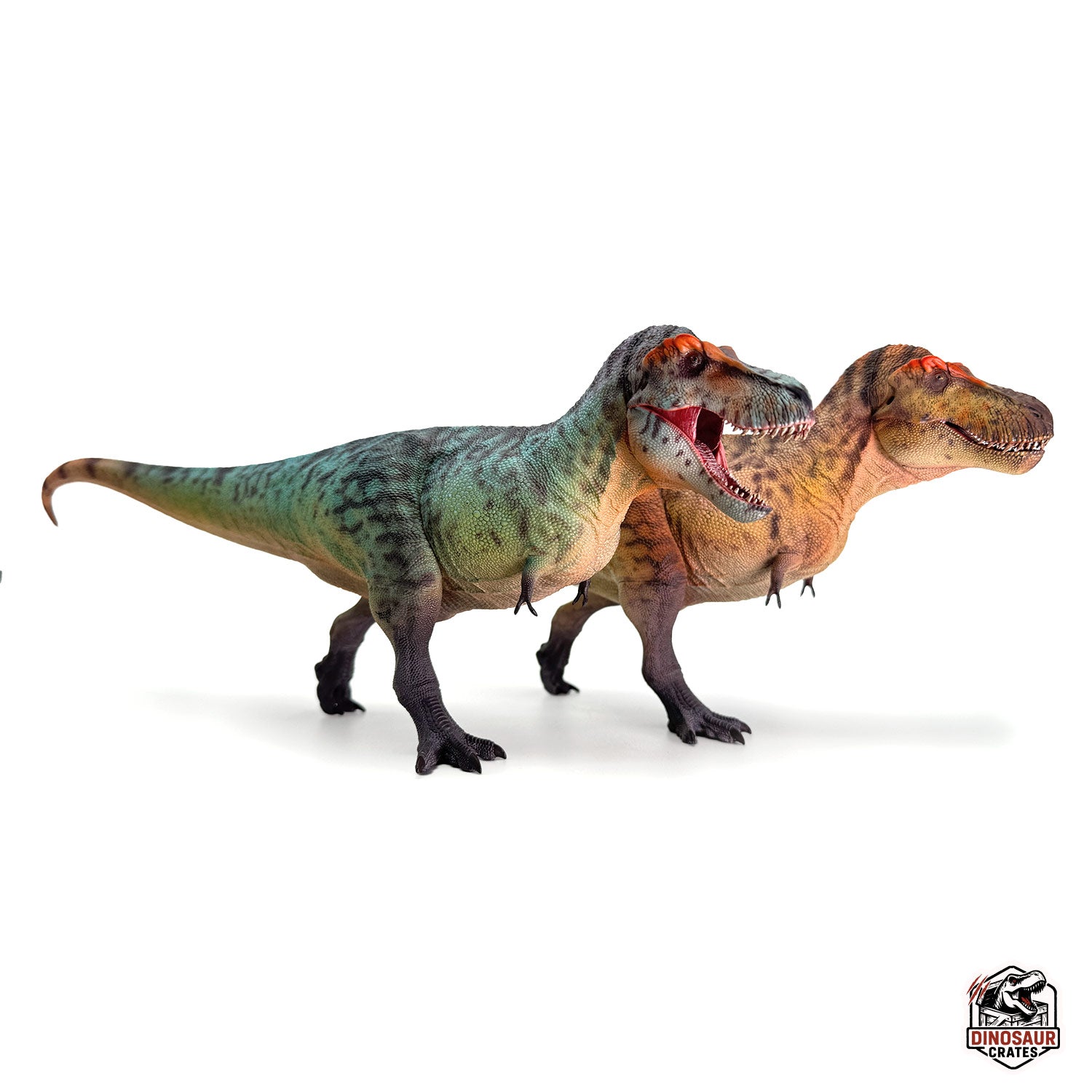 Haolonggood Tyrannosaurus Rex Dinosaur Figure – Dinosaur Crates