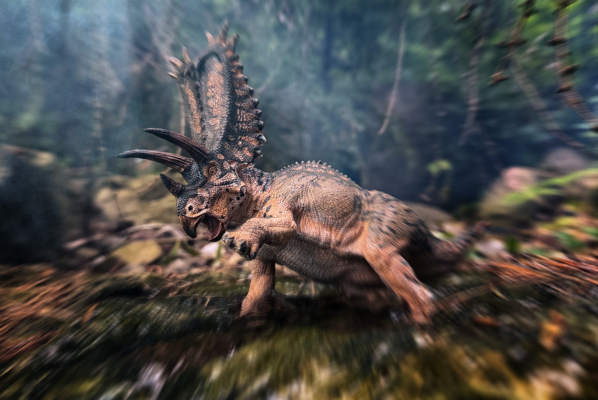 Pentaceratops In Forest