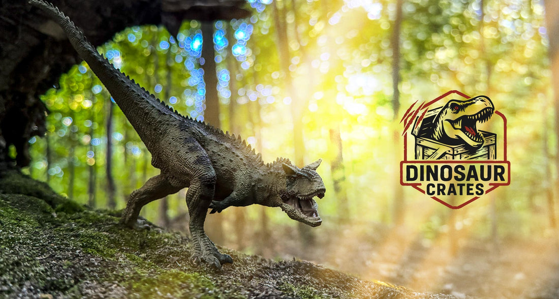 How Dinosaur Crates Began | Premium Dinosaur Figures in Canada