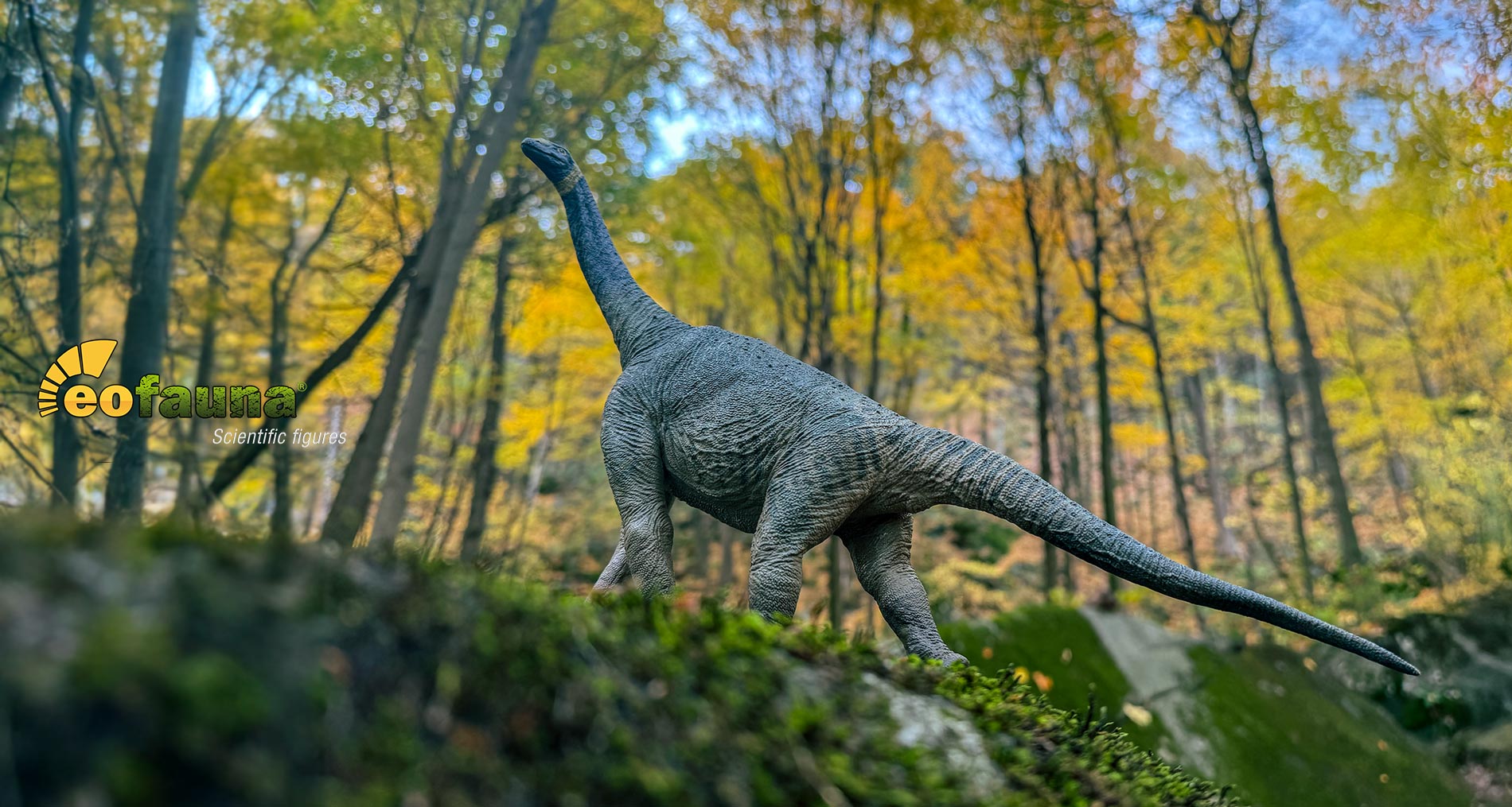 Eofauna Arrives in Canada: Where Science Meets Collectible Art