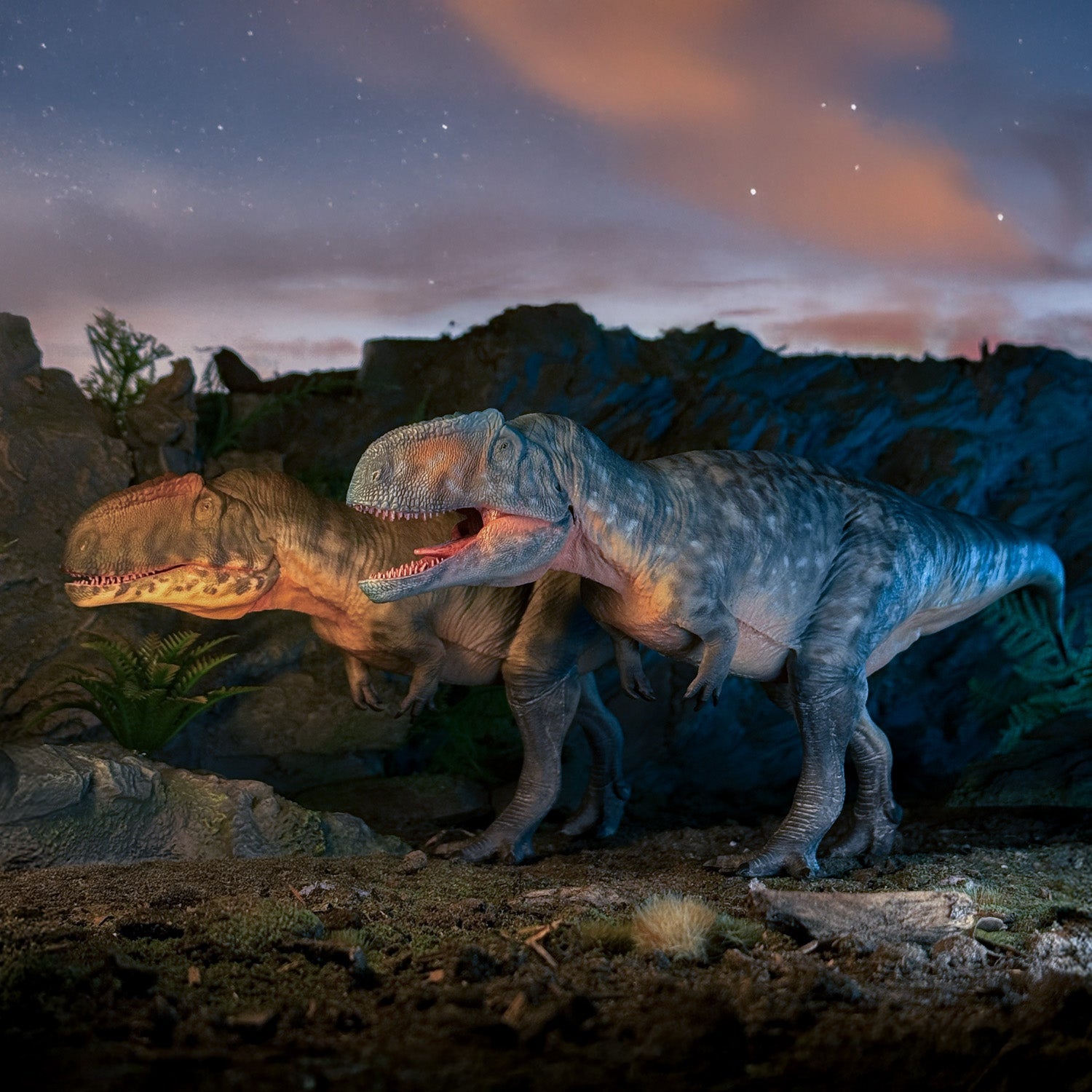 The Haolonggood Collection