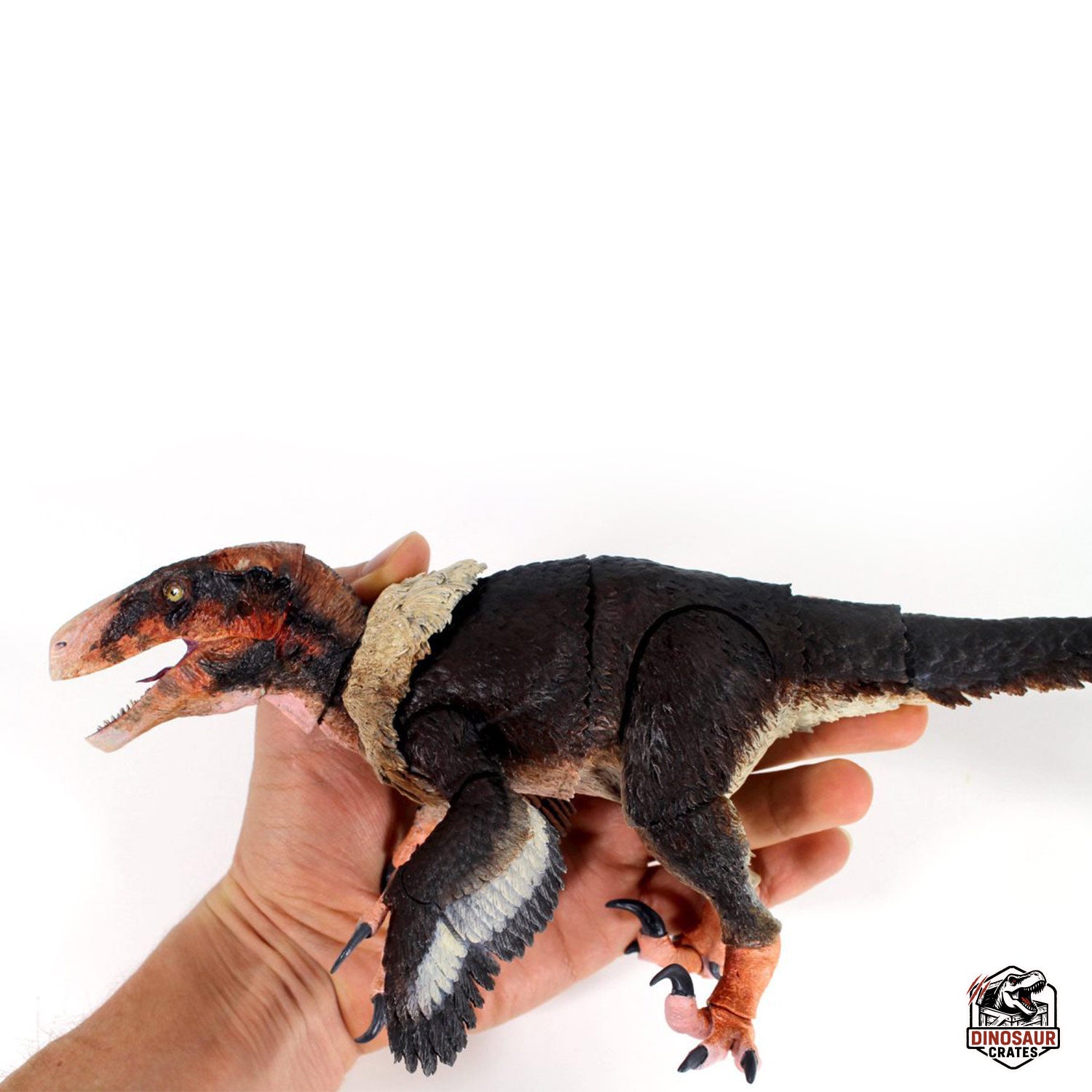 Achillobator giganticus – Beasts of the Mesozoic