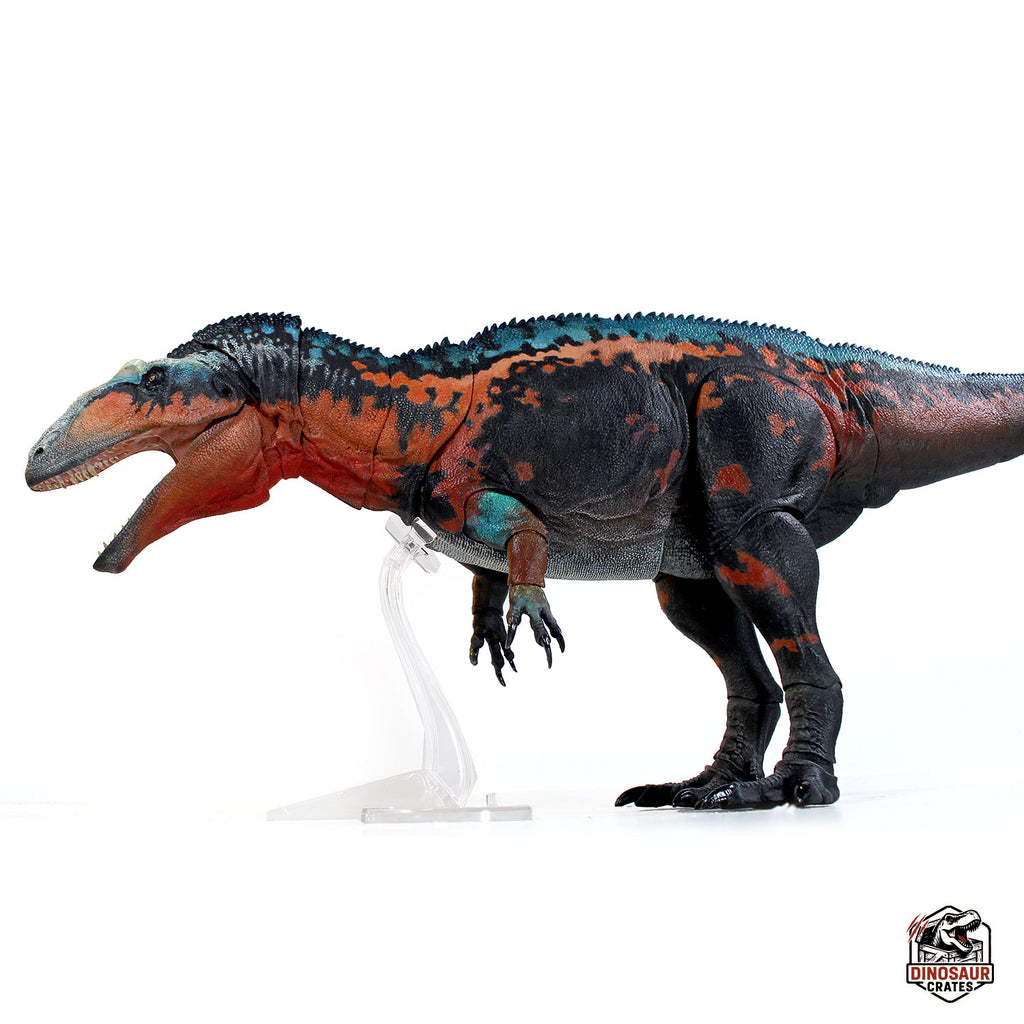 Acrocanthosaurus Atokensis – Beasts of the Mesozoic (Pre-Order)