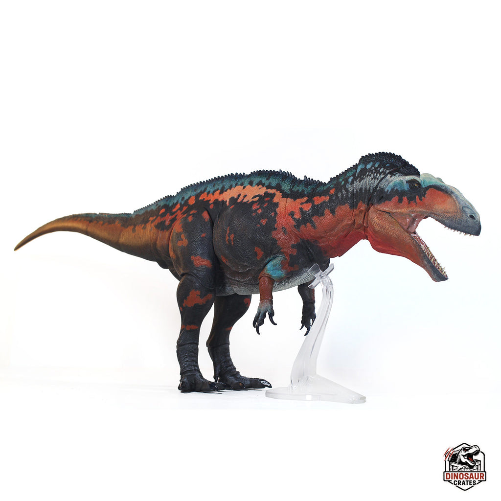 Acrocanthosaurus Atokensis – Beasts of the Mesozoic (Pre-Order)