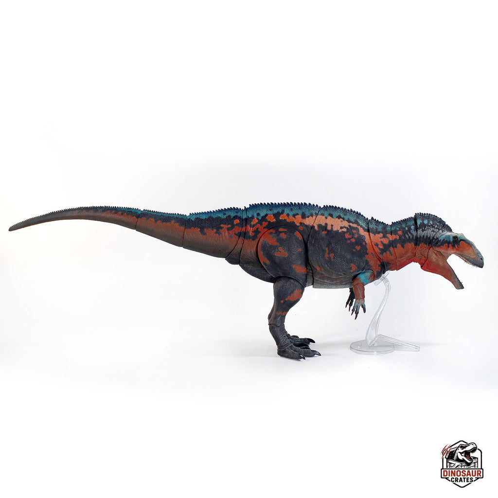 Acrocanthosaurus Atokensis – Beasts of the Mesozoic (Pre-Order)