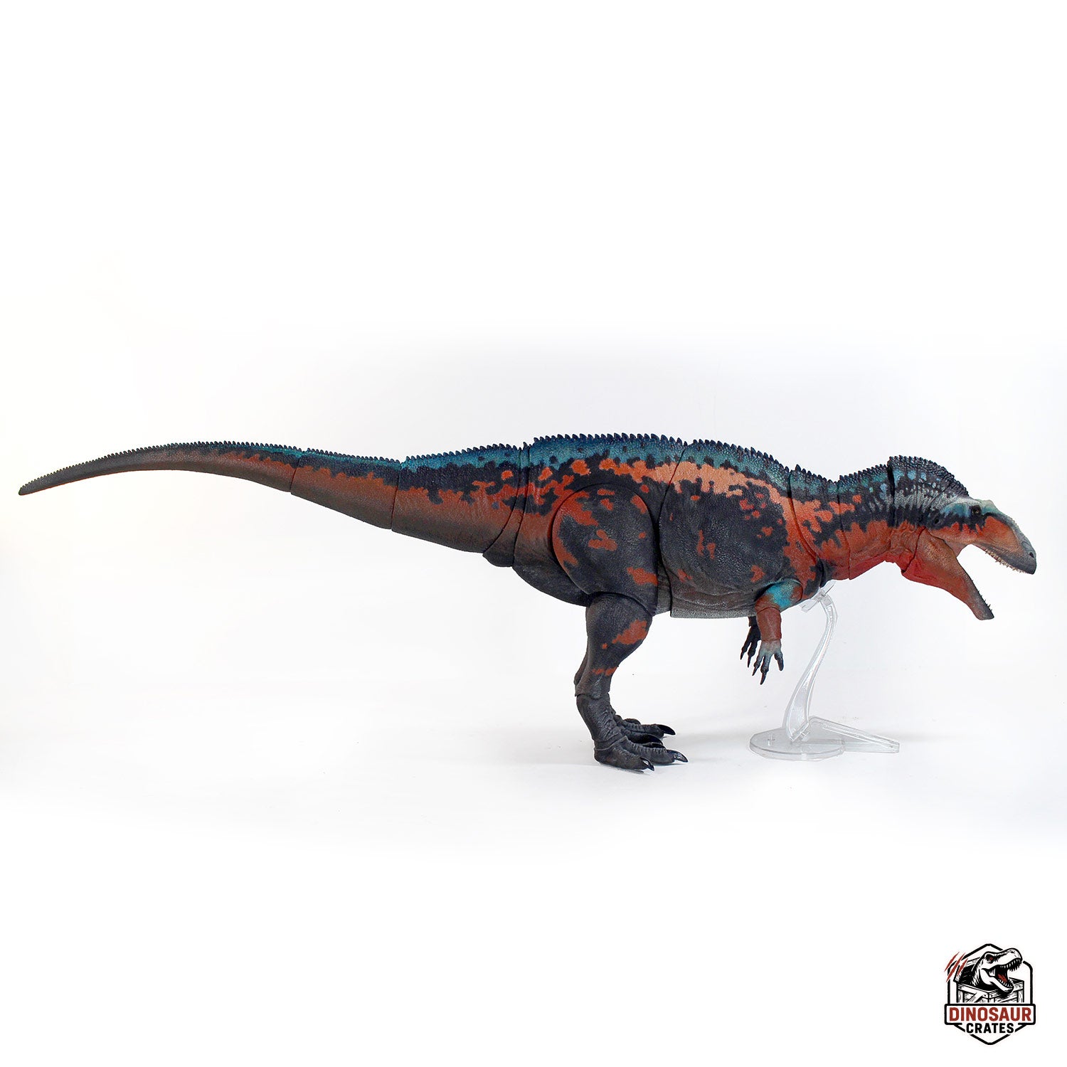 Acrocanthosaurus Atokensis – Beasts of the Mesozoic (Pre-Order)