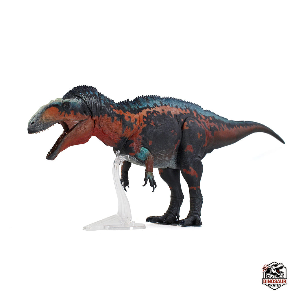Acrocanthosaurus Atokensis – Beasts of the Mesozoic (Pre-Order)