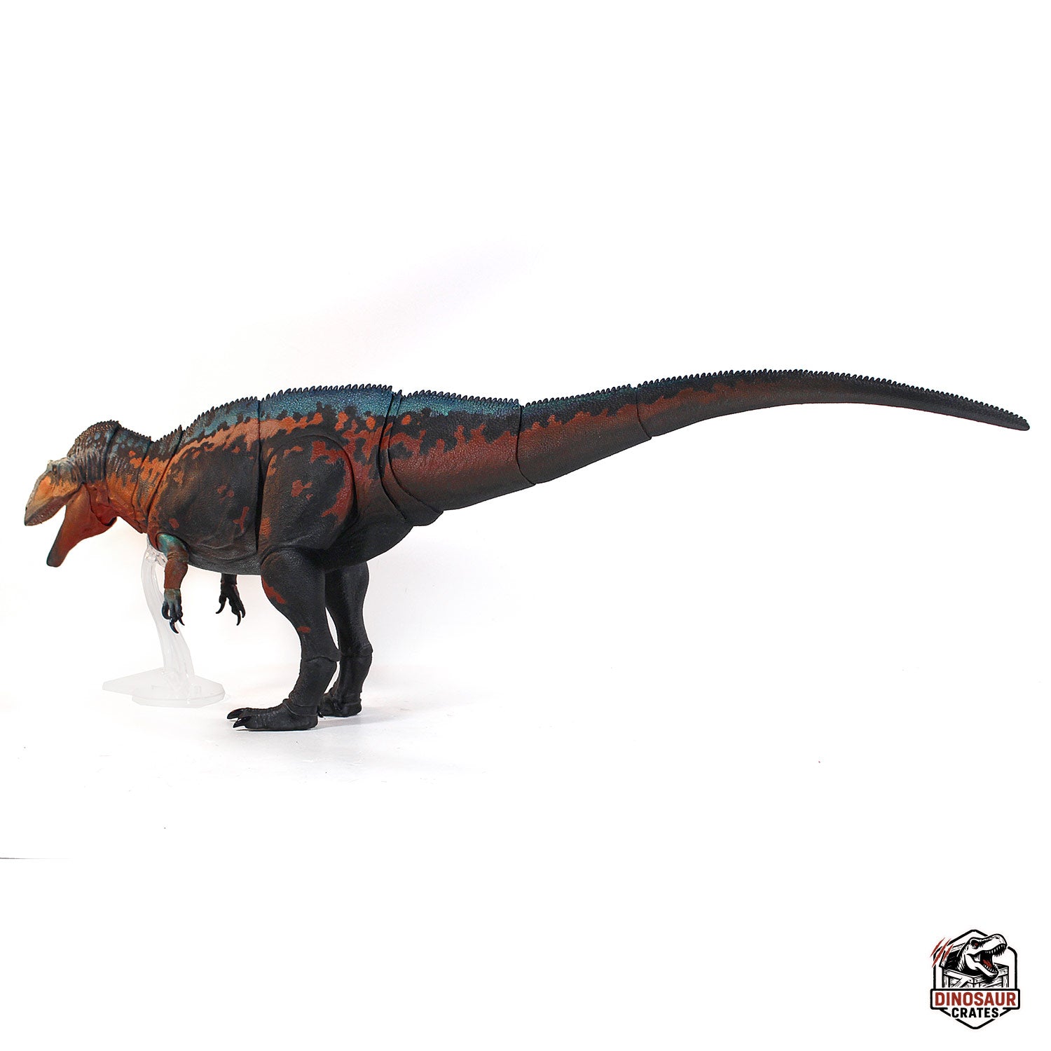 Acrocanthosaurus Atokensis – Beasts of the Mesozoic (Pre-Order)