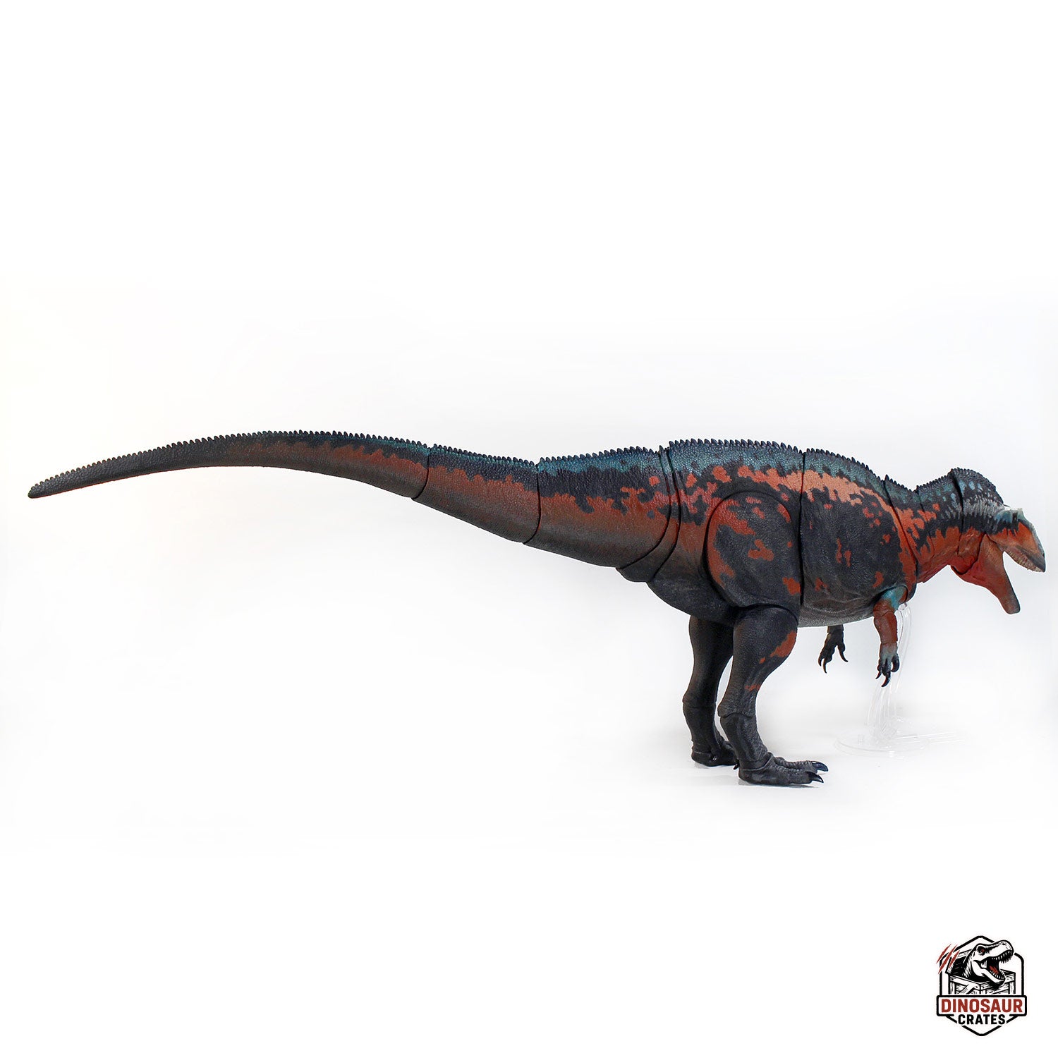 Acrocanthosaurus Atokensis – Beasts of the Mesozoic (Pre-Order)