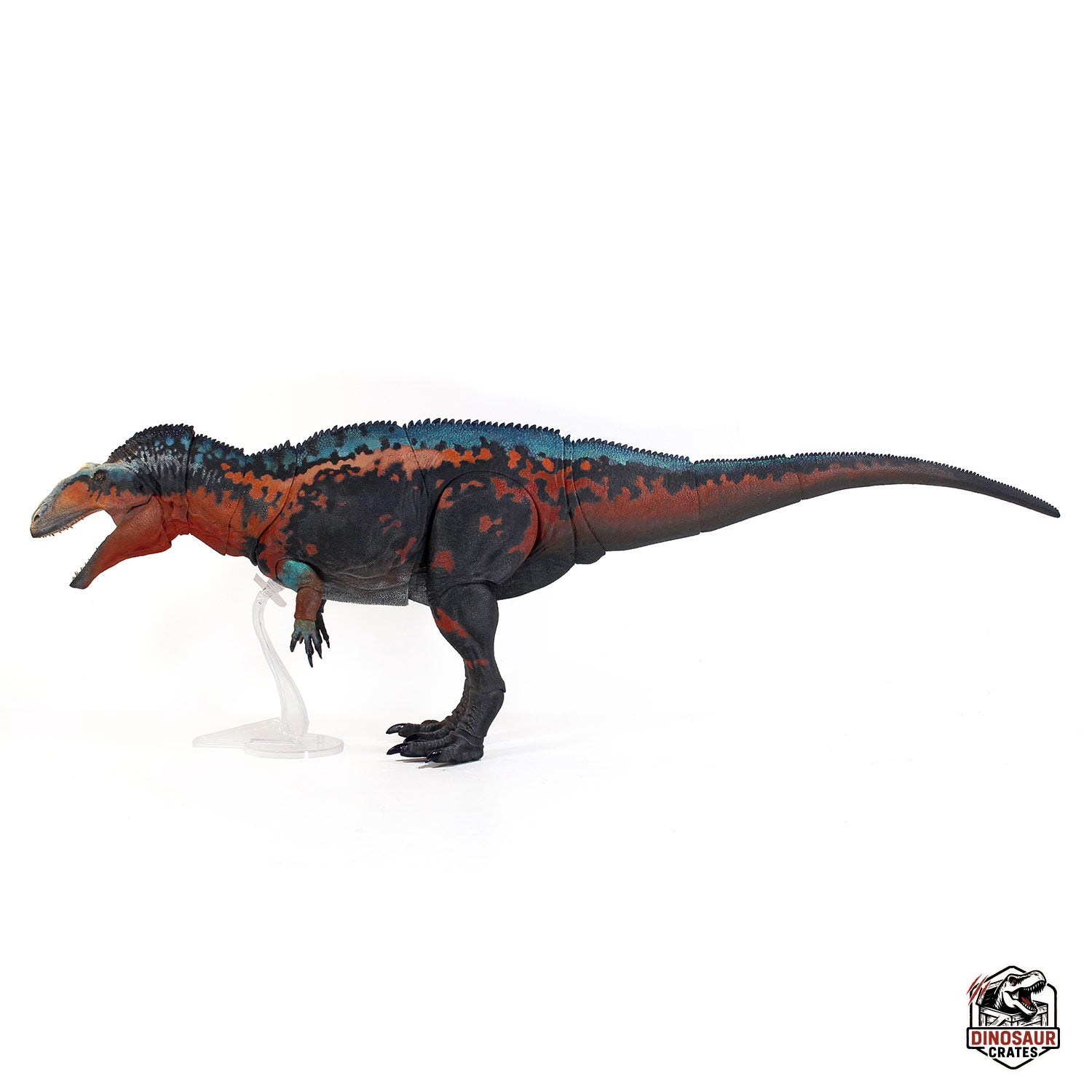 Acrocanthosaurus Atokensis – Beasts of the Mesozoic (Pre-Order)