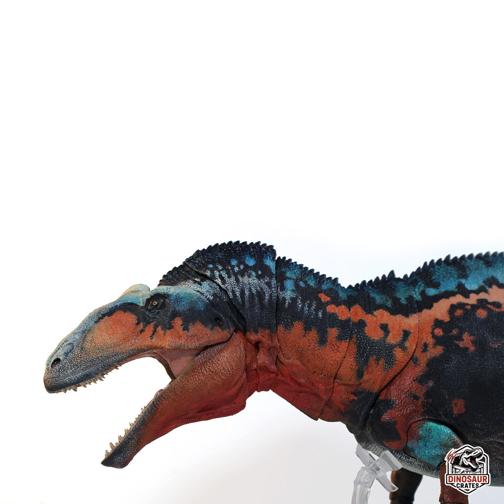 Acrocanthosaurus Atokensis – Beasts of the Mesozoic (Pre-Order)
