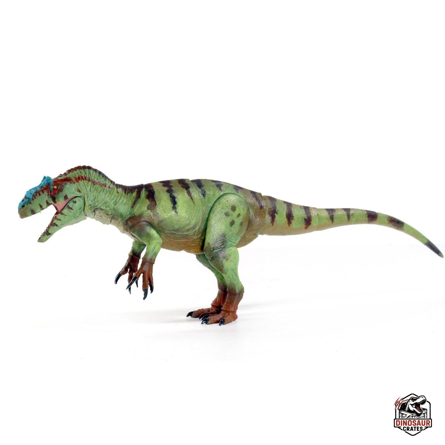 Allosaurus fragilis – Beasts of the Mesozoic