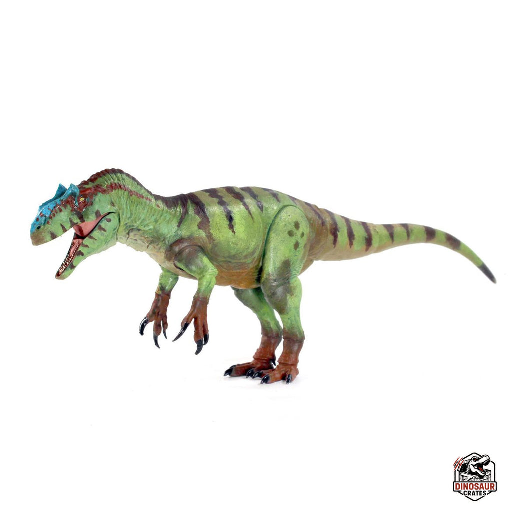 Allosaurus fragilis – Beasts of the Mesozoic