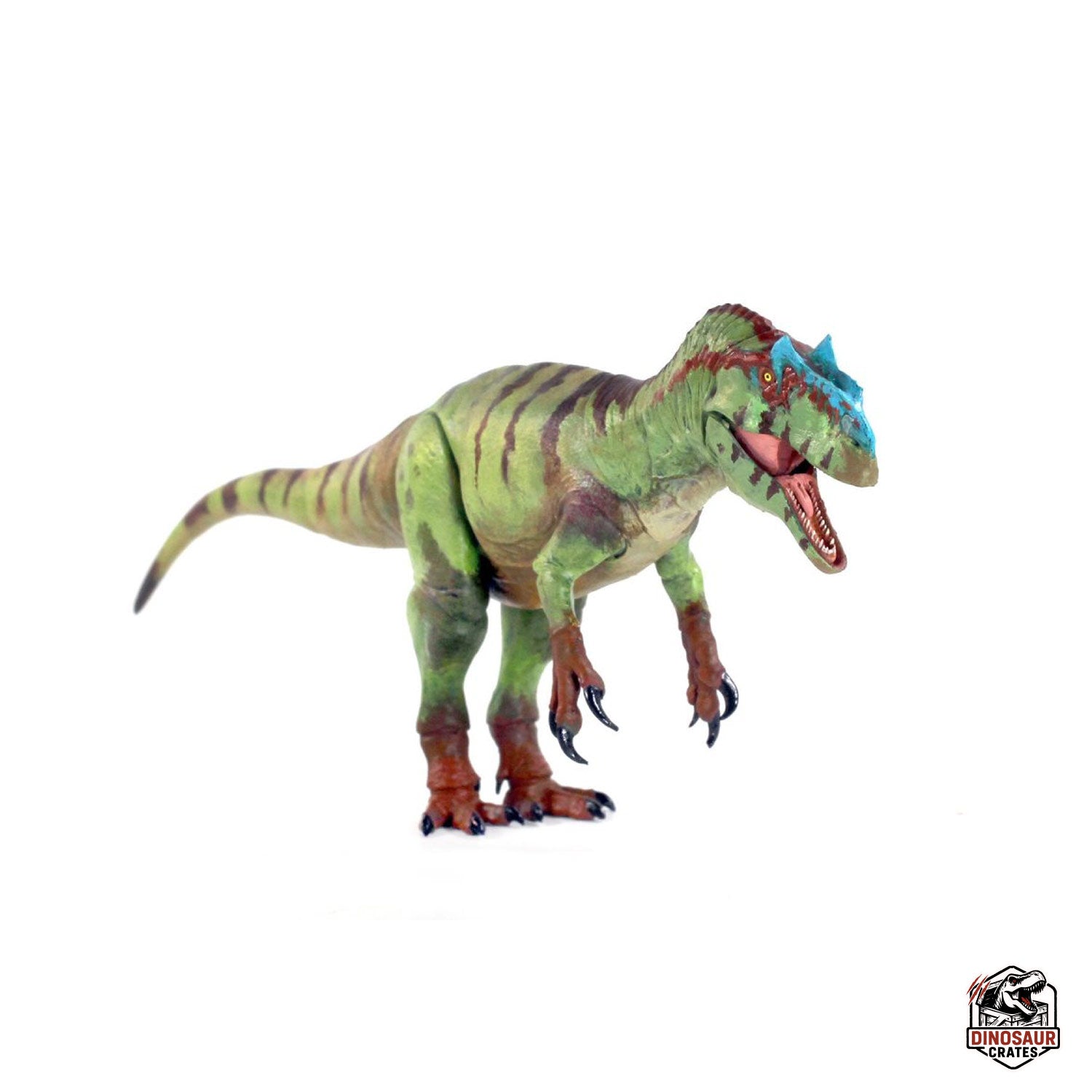 Allosaurus fragilis – Beasts of the Mesozoic