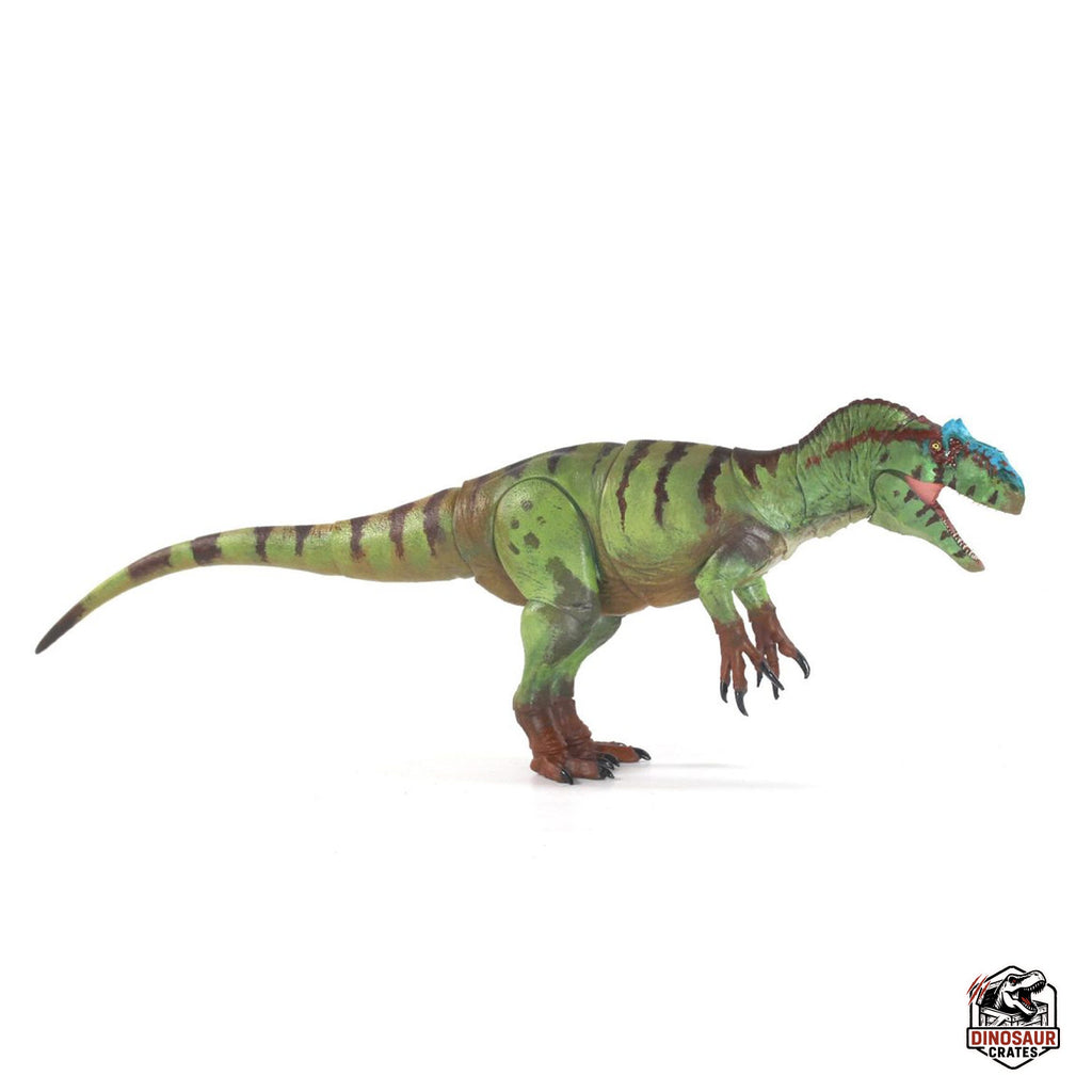 Allosaurus fragilis – Beasts of the Mesozoic