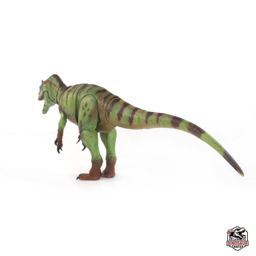 Allosaurus fragilis – Beasts of the Mesozoic