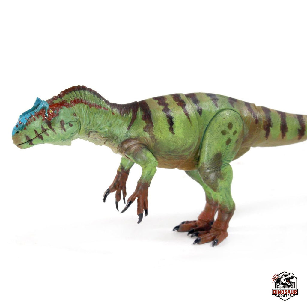 Allosaurus fragilis – Beasts of the Mesozoic