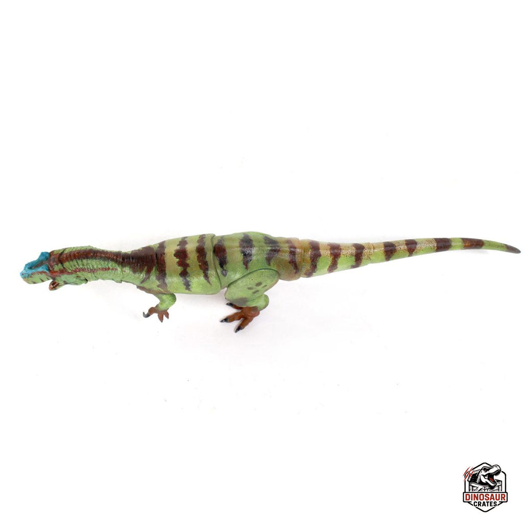 Allosaurus fragilis – Beasts of the Mesozoic