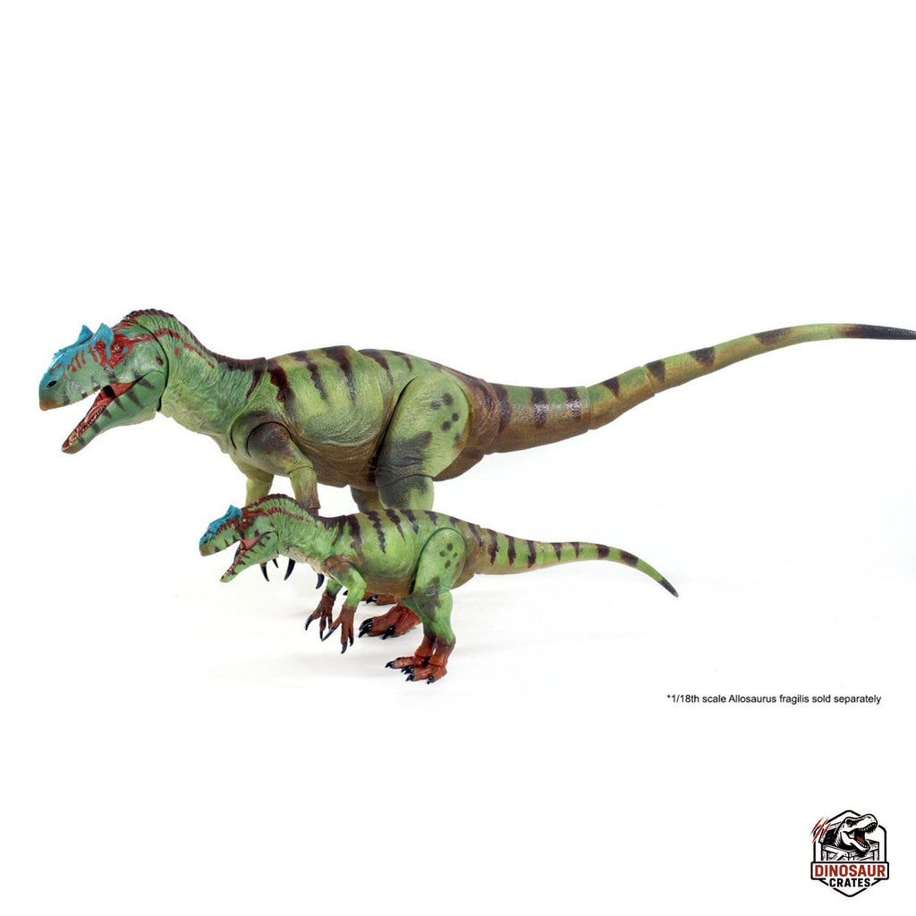 Allosaurus fragilis – Beasts of the Mesozoic