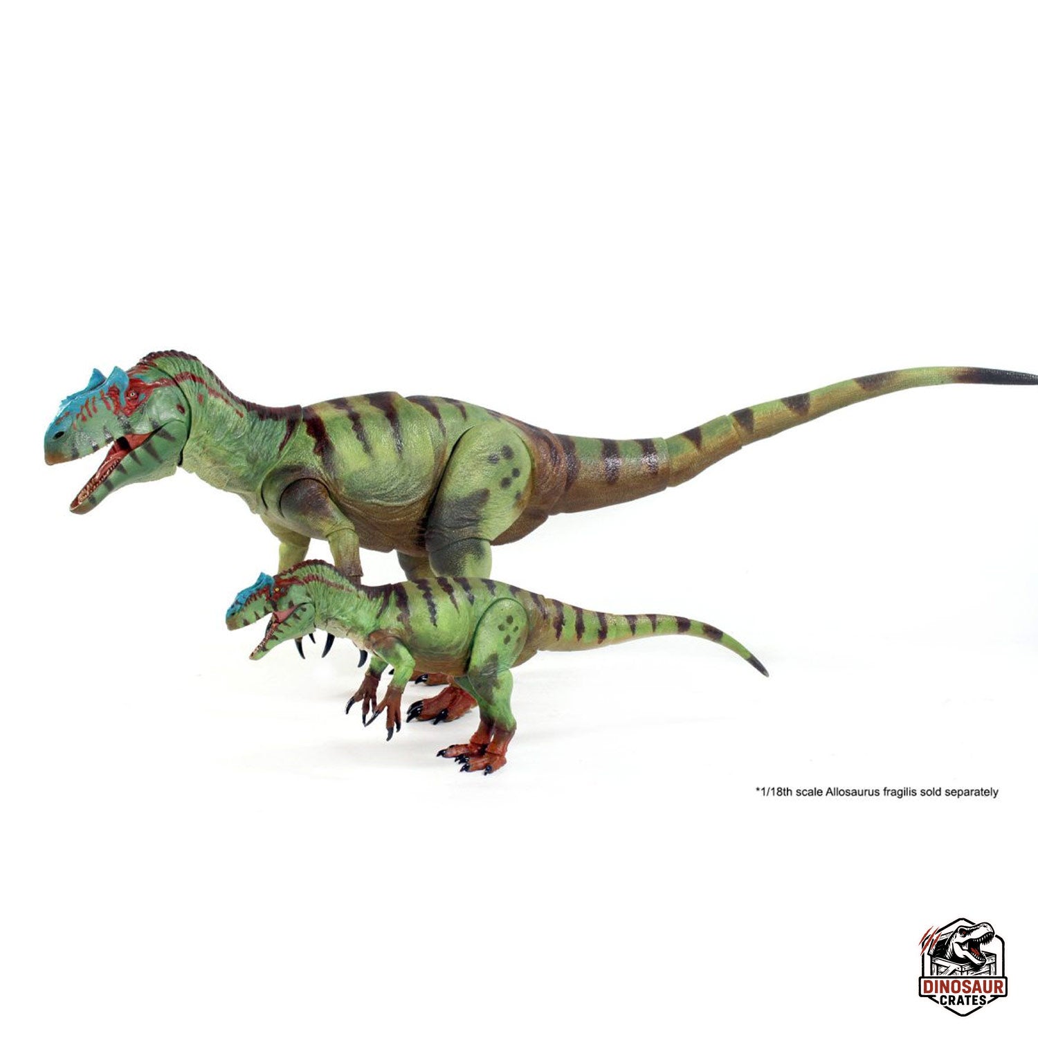 Allosaurus fragilis – Beasts of the Mesozoic