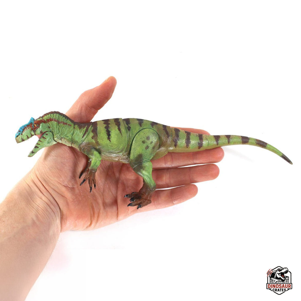 Allosaurus fragilis – Beasts of the Mesozoic