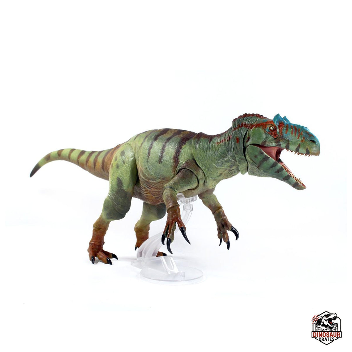 Allosaurus fragilis – Beasts of the Mesozoic – Dinosaur Crates