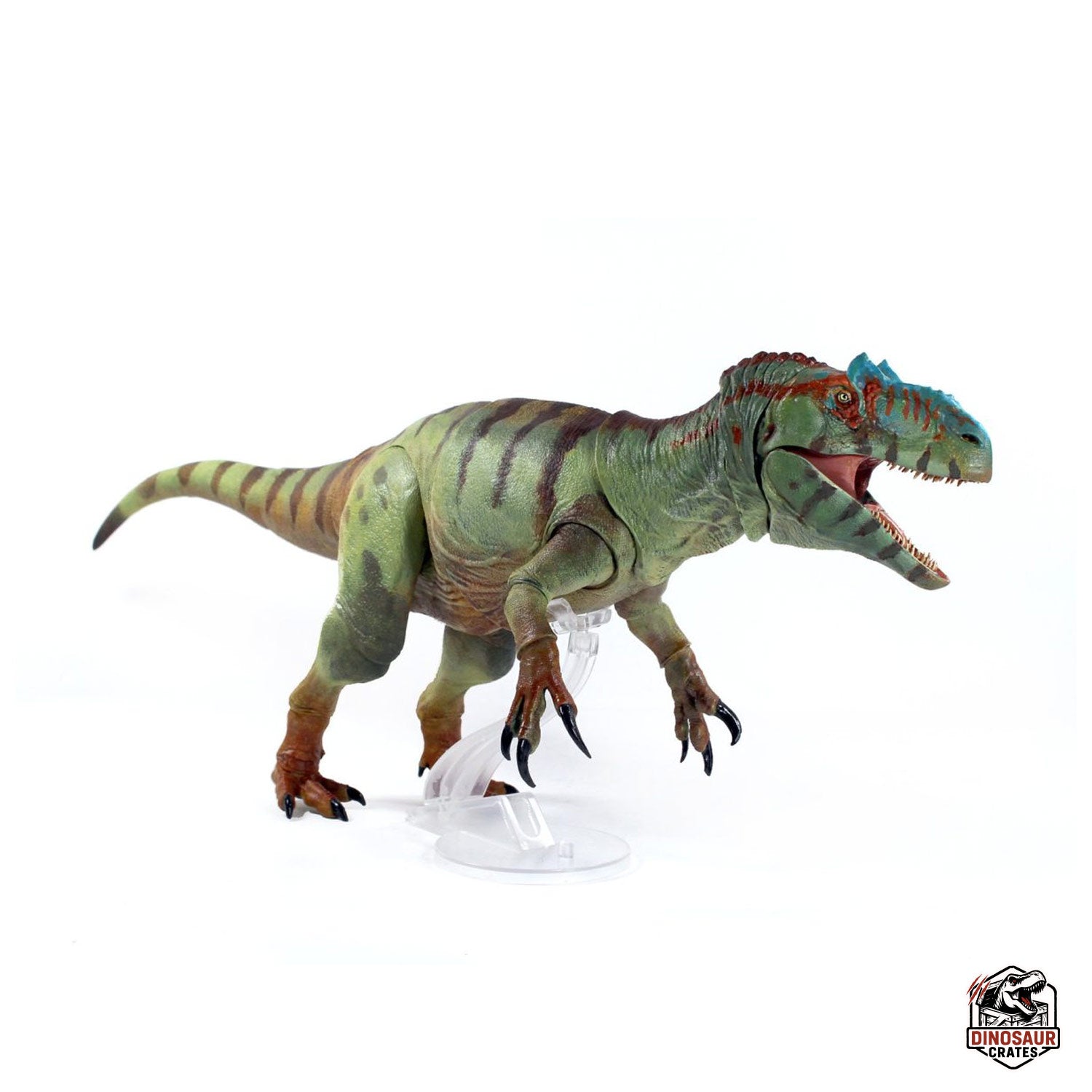 Allosaurus fragilis – Beasts of the Mesozoic (PREORDER)