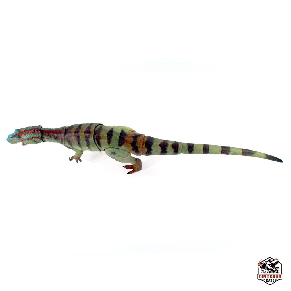 Allosaurus fragilis – Beasts of the Mesozoic (PREORDER)