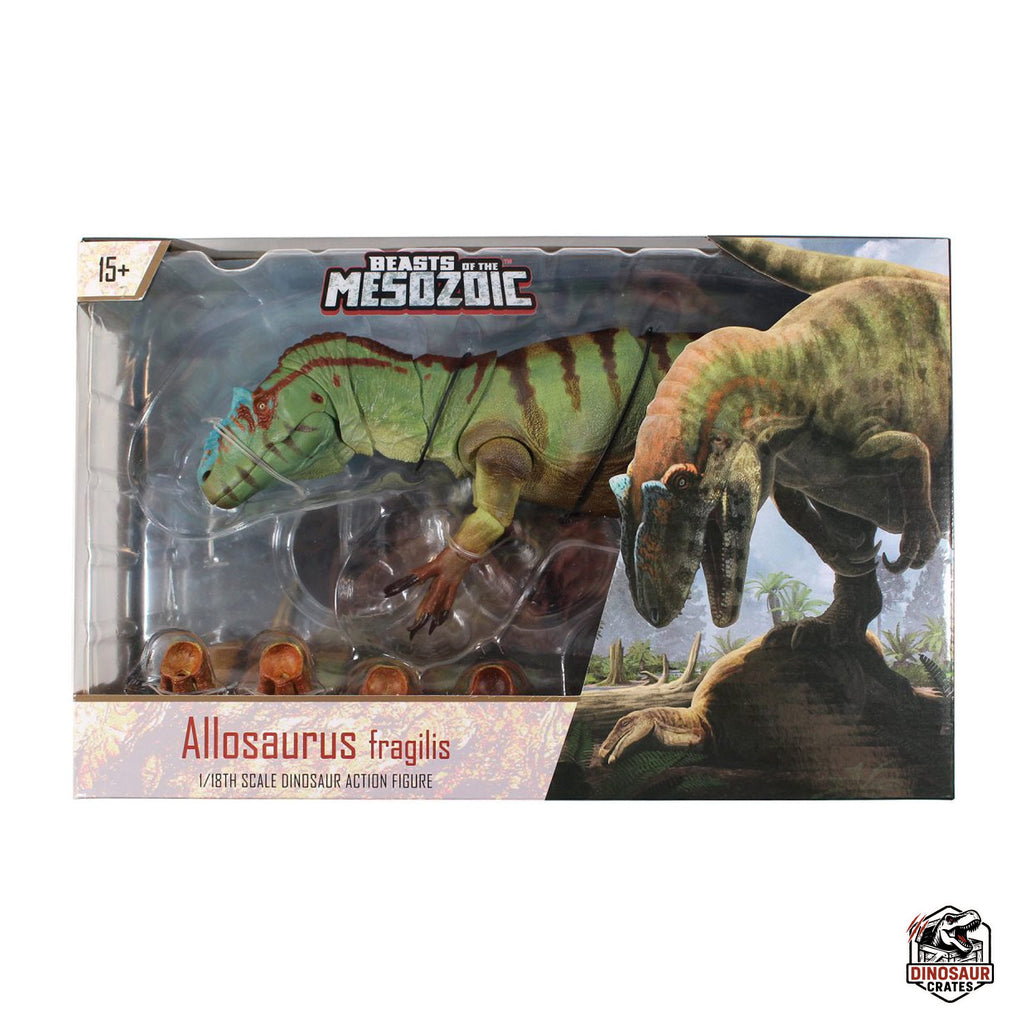 Allosaurus fragilis – Beasts of the Mesozoic (PREORDER)