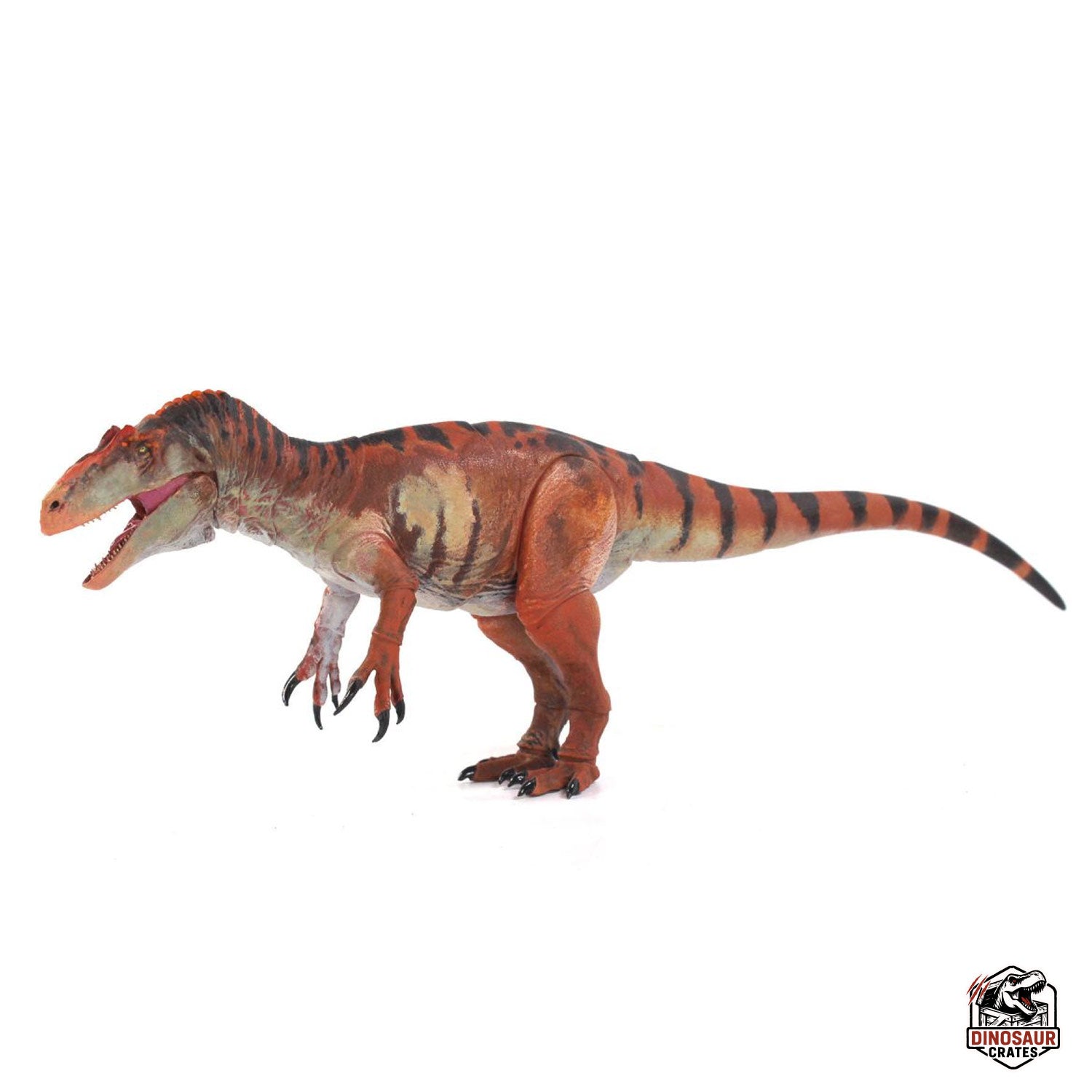 Allosaurus jimmadseni  – Beasts of the Mesozoic
