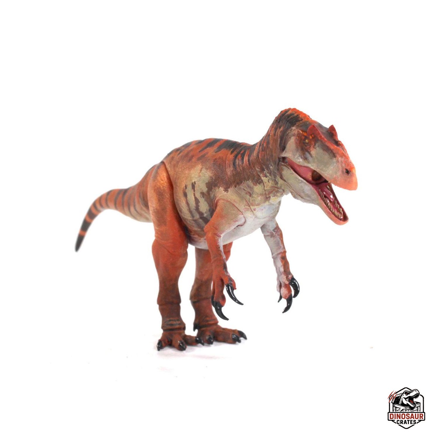 Allosaurus jimmadseni  – Beasts of the Mesozoic