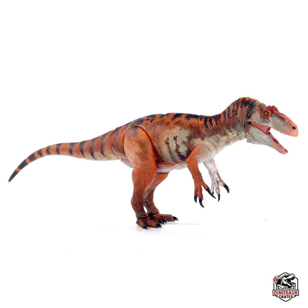 Allosaurus jimmadseni – Bêtes du Mésozoïque