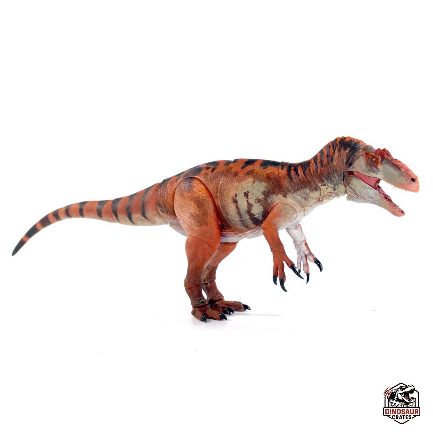 Allosaurus jimmadseni  – Beasts of the Mesozoic