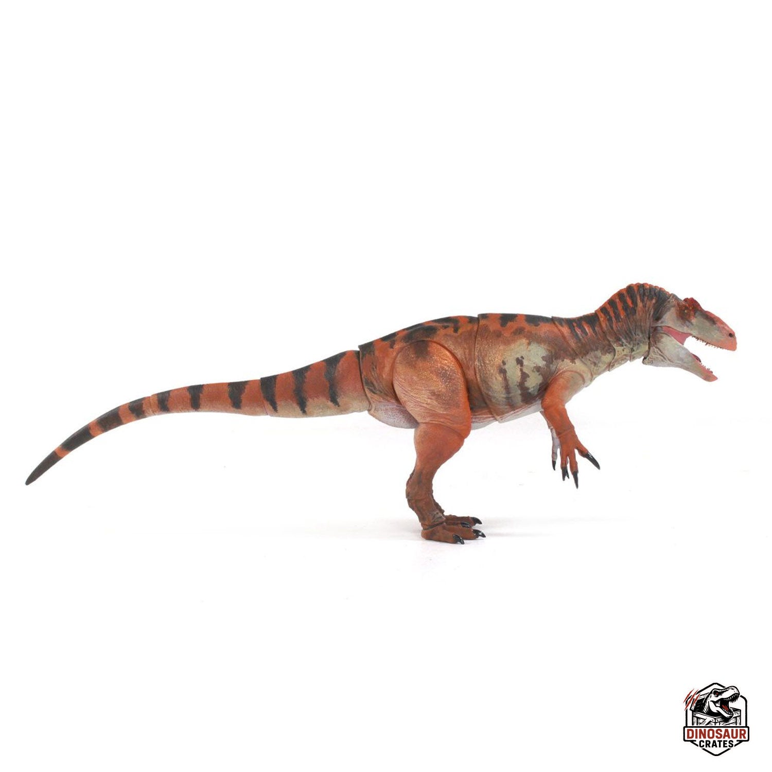 Allosaurus jimmadseni  – Beasts of the Mesozoic