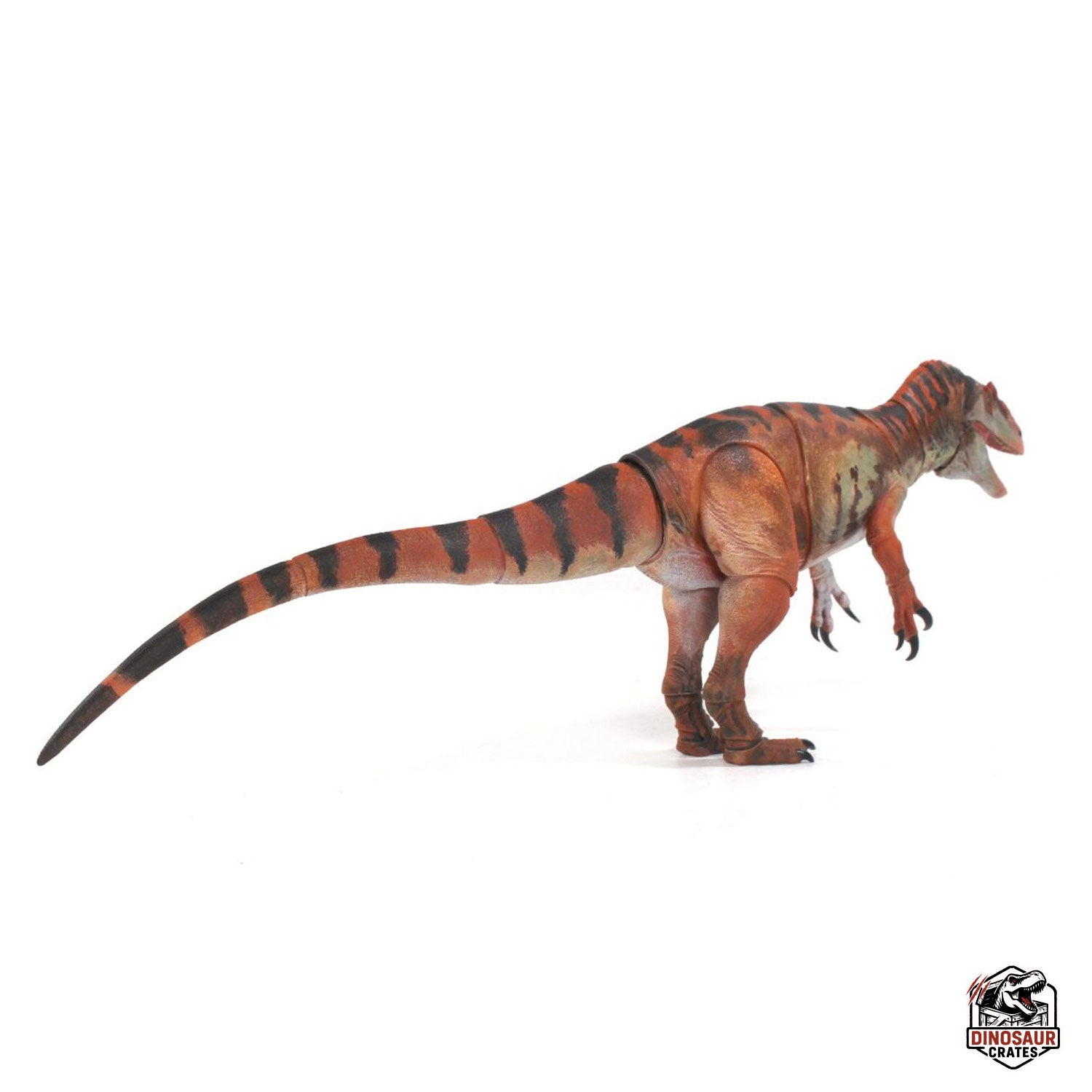 Allosaurus jimmadseni  – Beasts of the Mesozoic