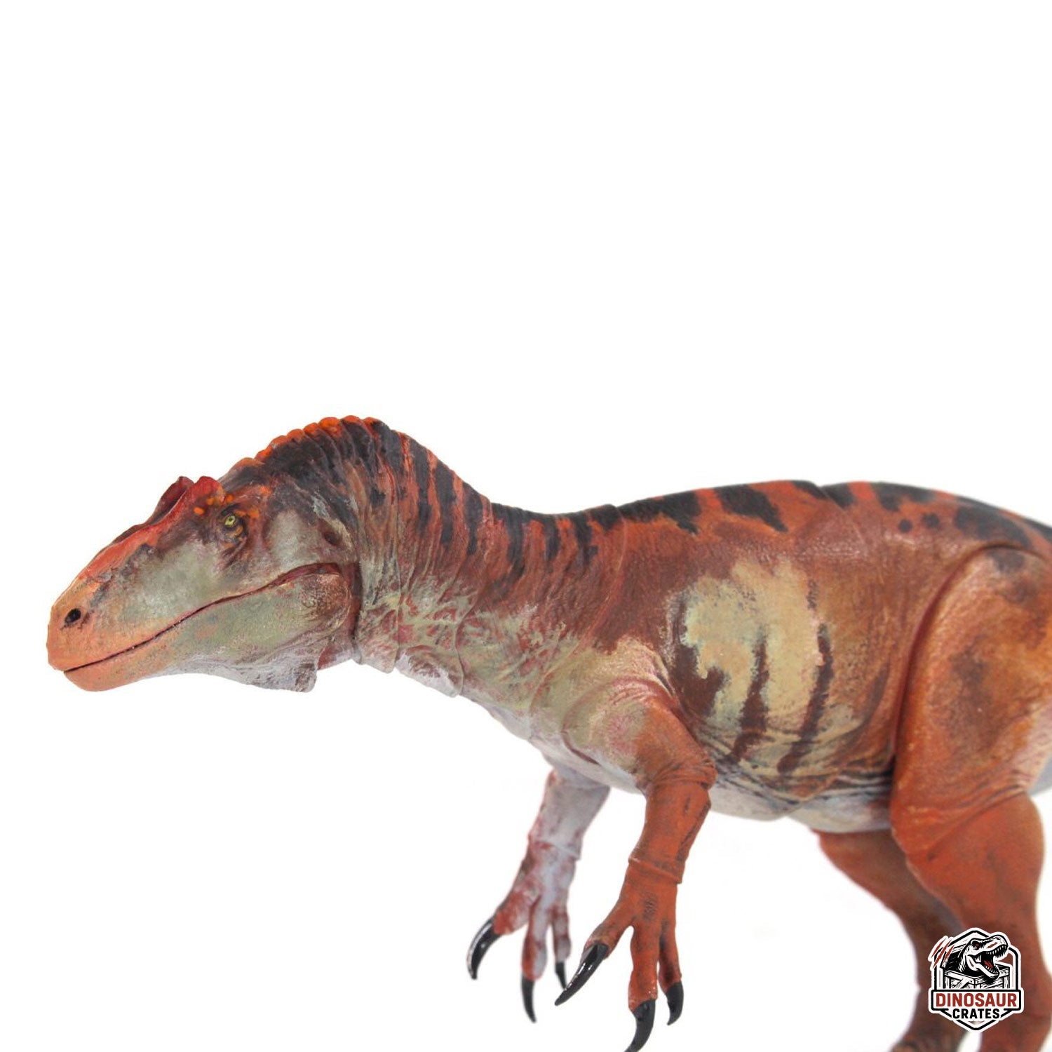 Allosaurus jimmadseni  – Beasts of the Mesozoic