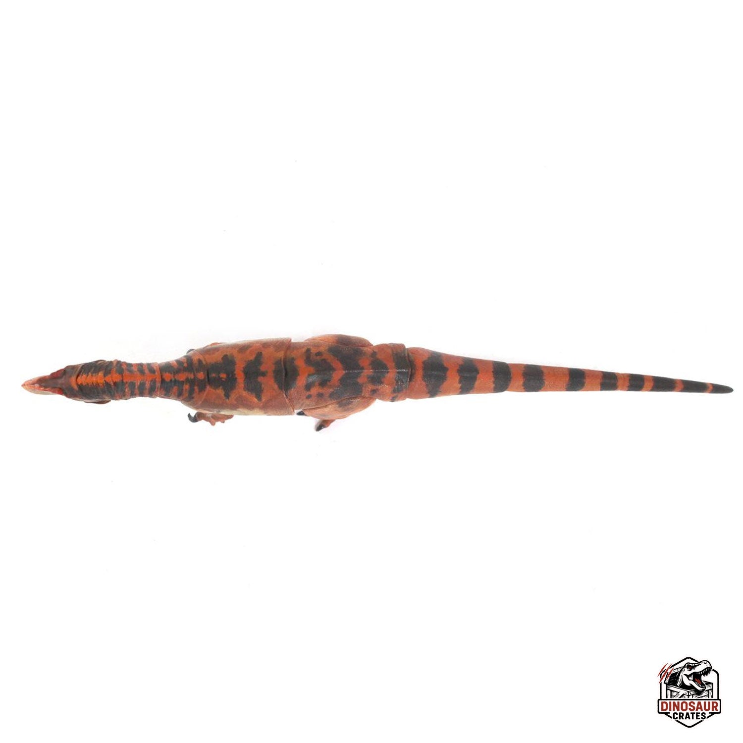 Allosaurus jimmadseni  – Beasts of the Mesozoic
