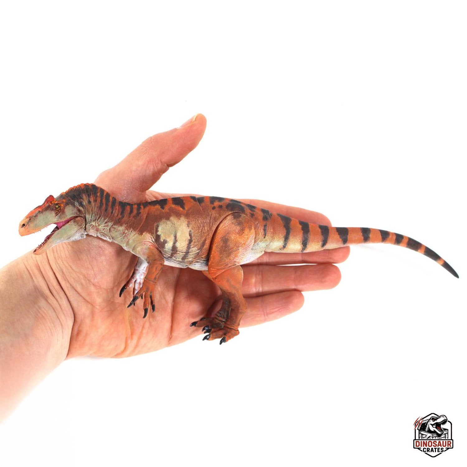 Allosaurus jimmadseni  – Beasts of the Mesozoic