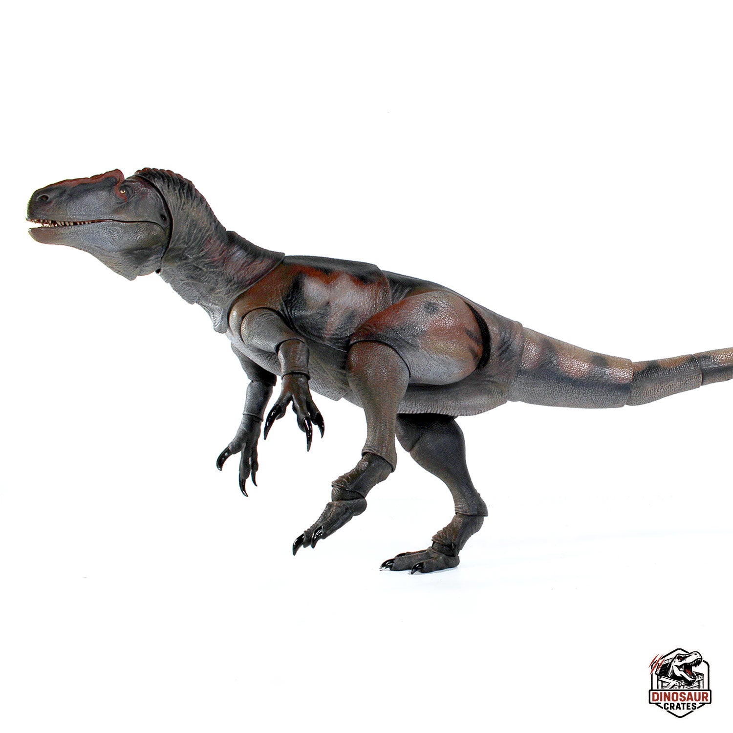 Allosaurus jimmadseni – Cyberzoic