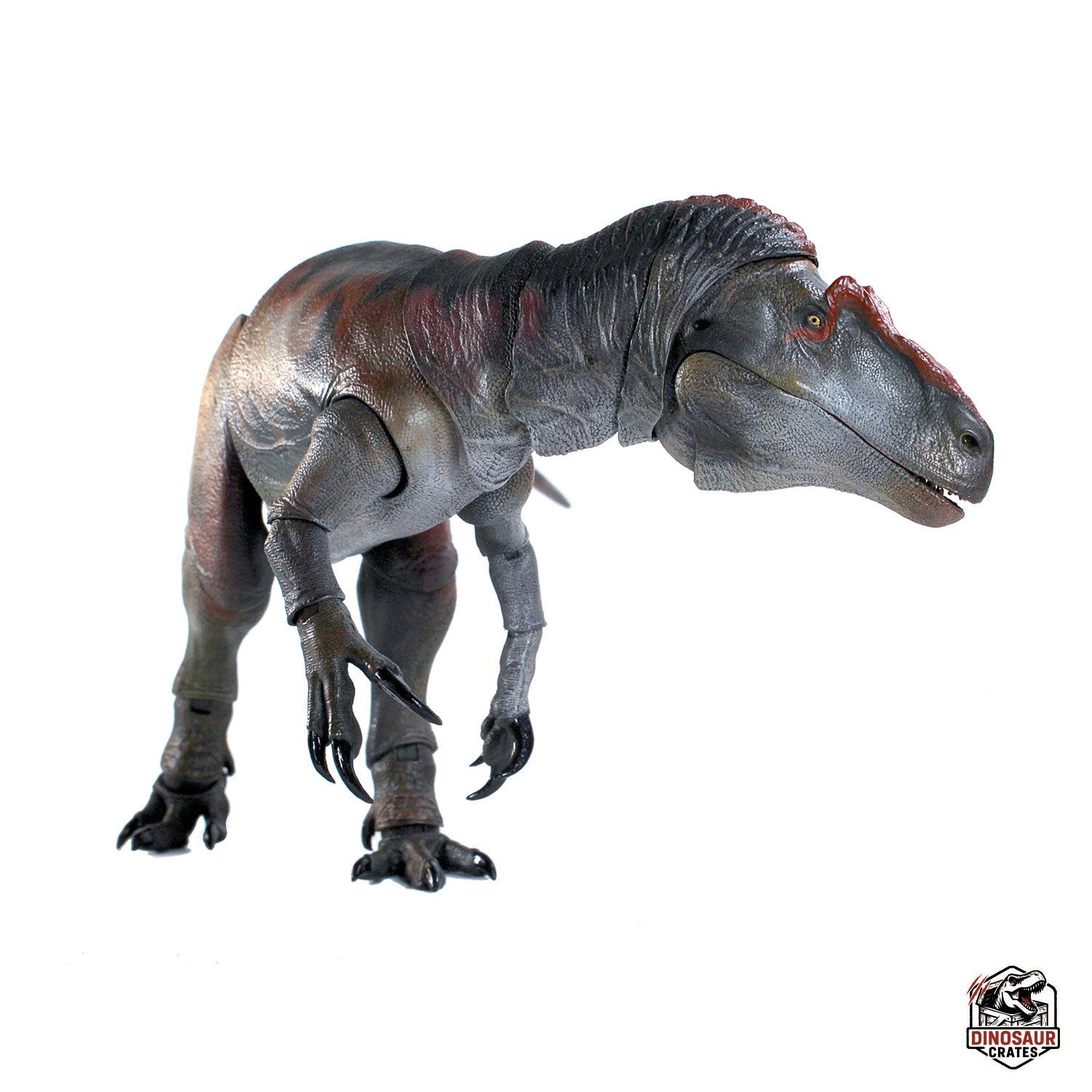 Allosaurus jimmadseni – Cyberzoic