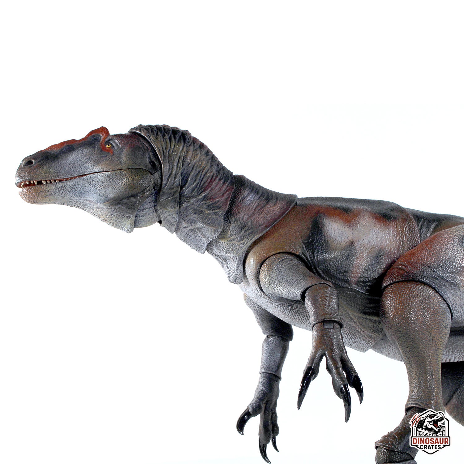 Allosaurus jimmadseni – Cyberzoic