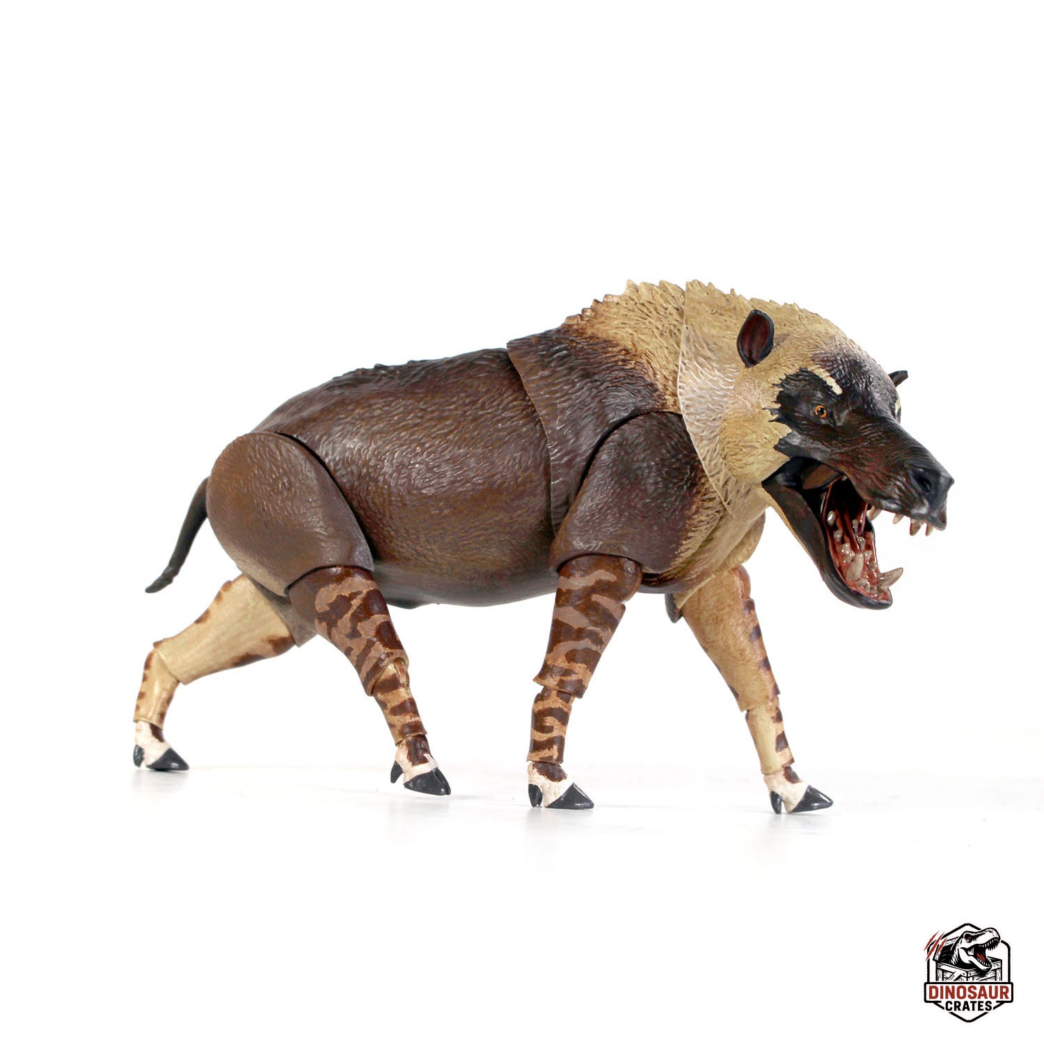 Andrewsarchus mongoliensis - Beasts of the Cenozoic