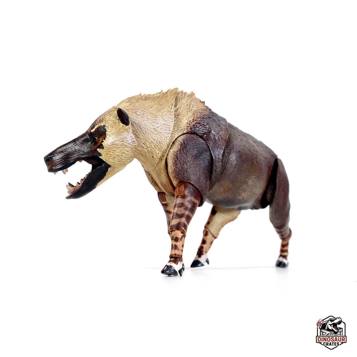 Andrewsarchus mongoliensis - Beasts of the Cenozoic