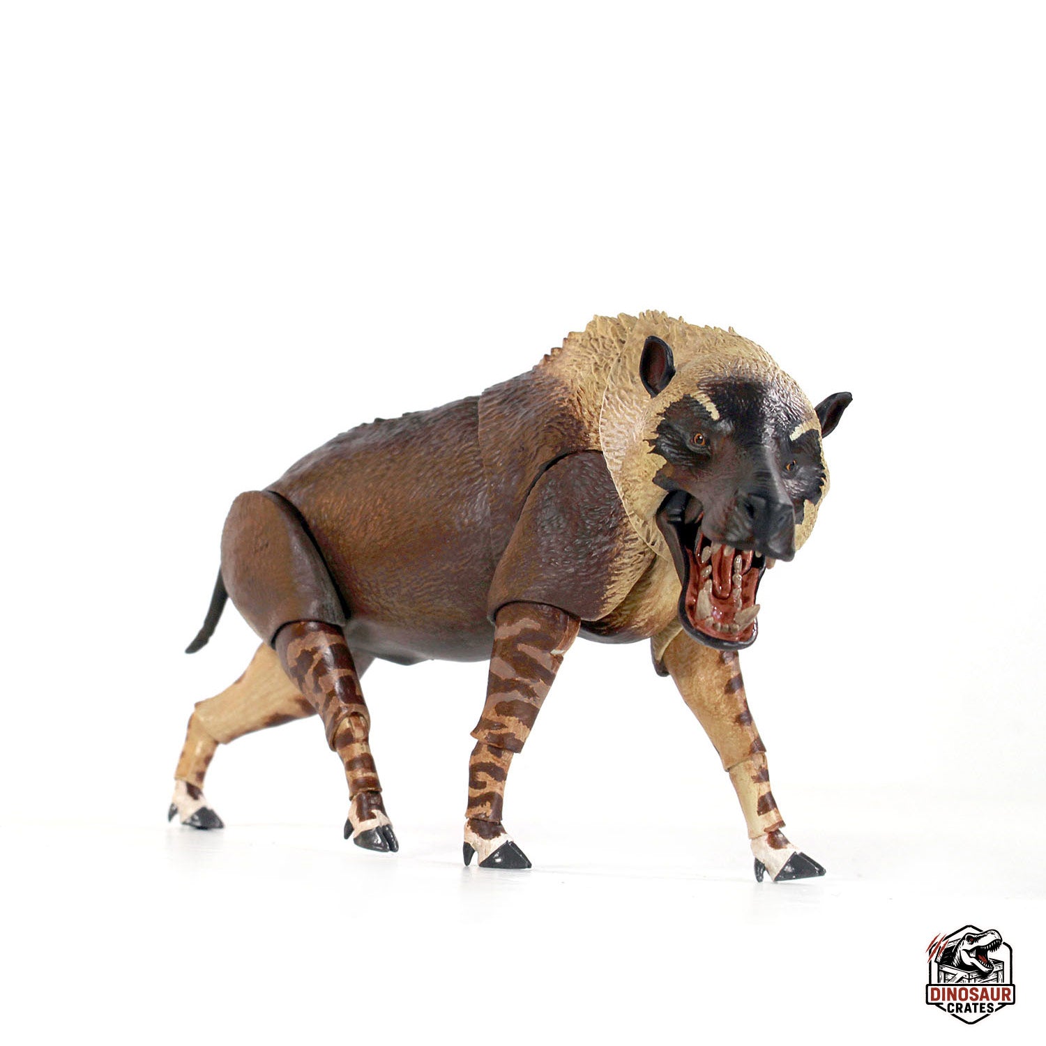 Andrewsarchus mongoliensis - Beasts of the Cenozoic