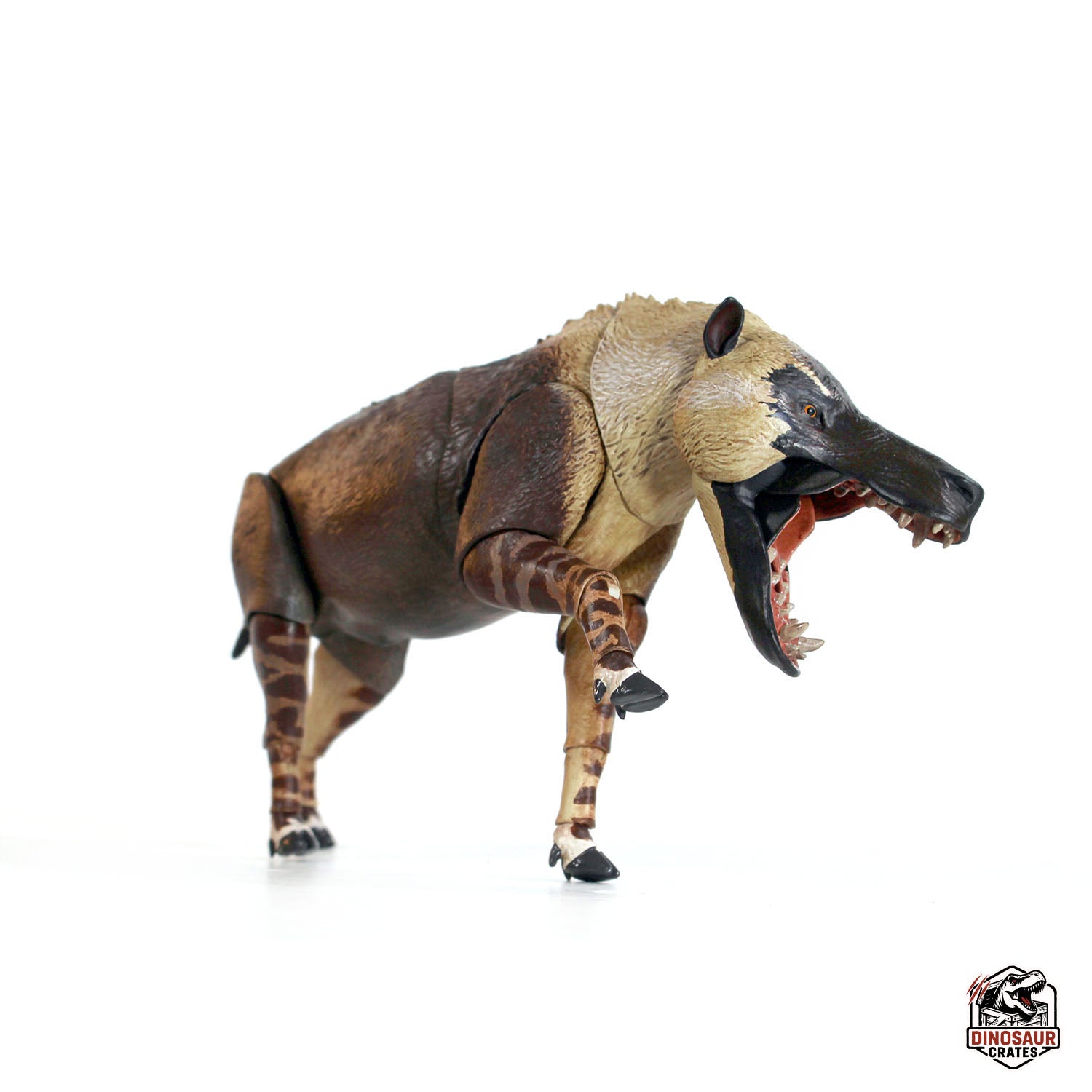 Andrewsarchus mongoliensis - Beasts of the Cenozoic