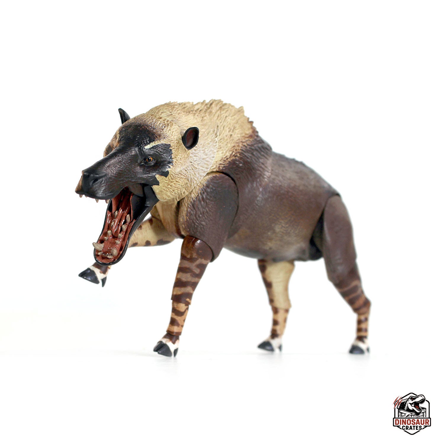 Andrewsarchus mongoliensis - Beasts of the Cenozoic