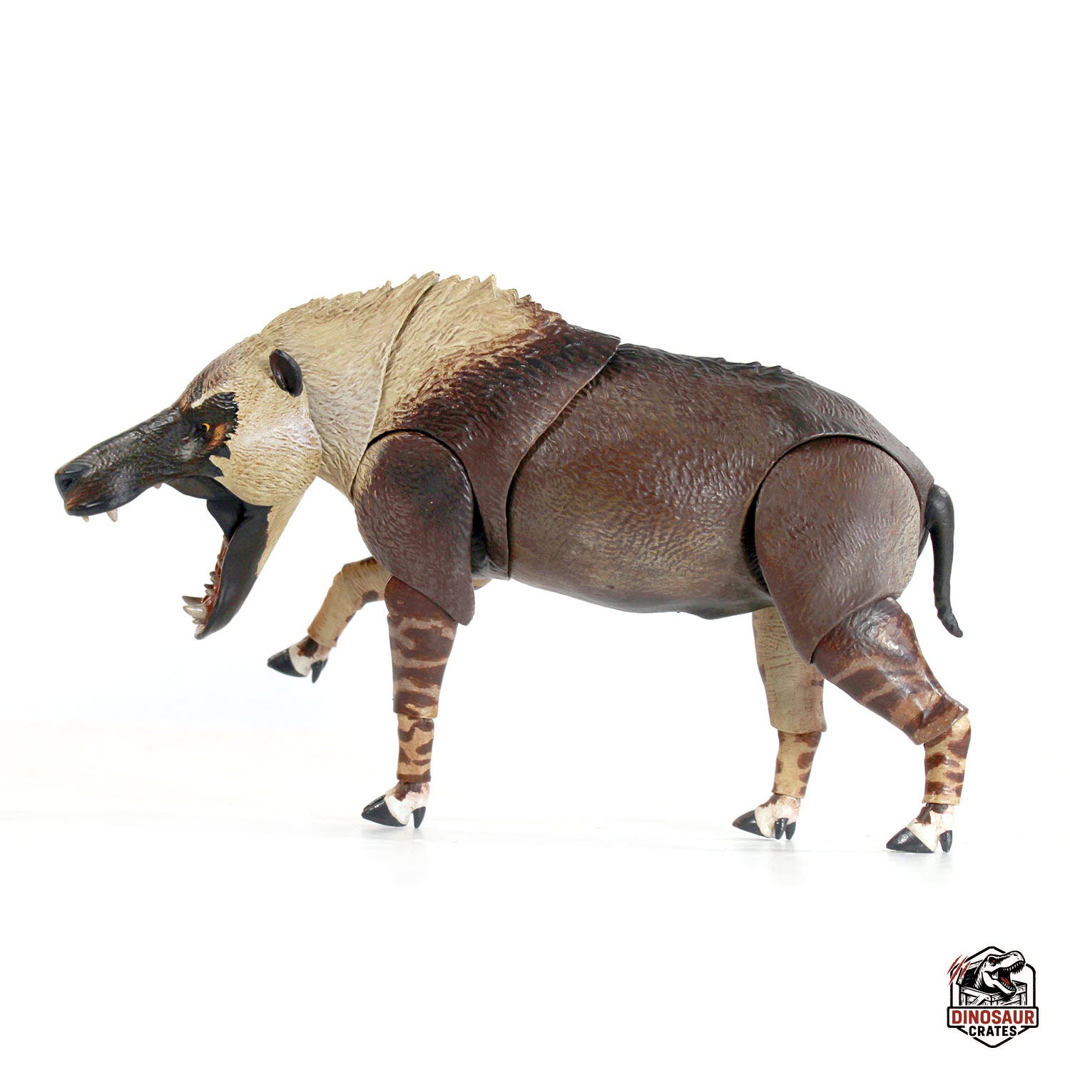 Andrewsarchus mongoliensis - Beasts of the Cenozoic